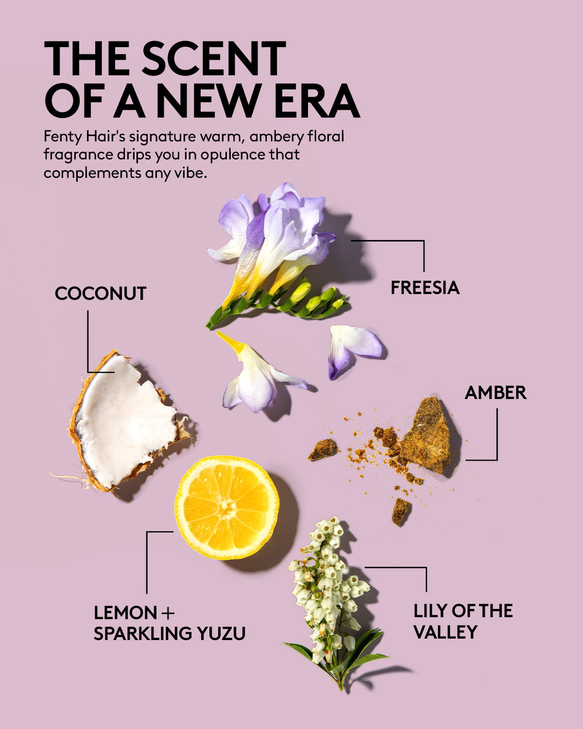 Moisture Repair the Maintenance Crew Full-Size Bundle